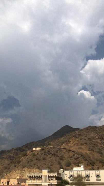 مشاركاتي في أنت الراصد