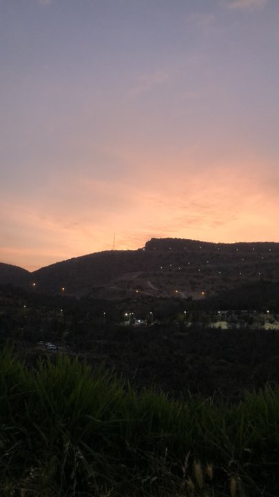 مشاركاتي في أنت الراصد