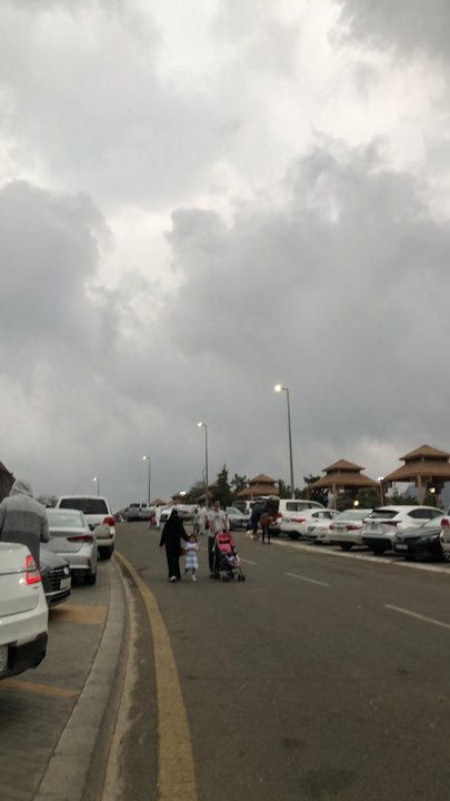 مشاركاتي في أنت الراصد