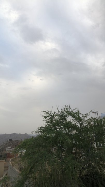 مشاركاتي في أنت الراصد