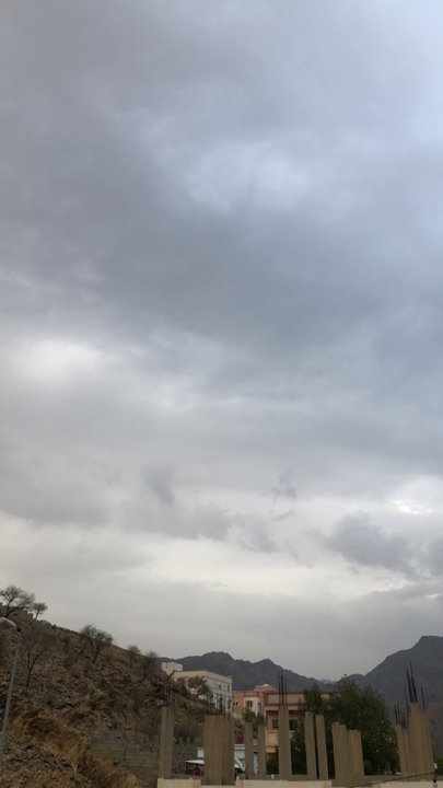 مشاركاتي في أنت الراصد