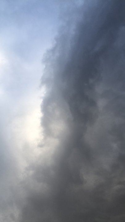 مشاركاتي في أنت الراصد