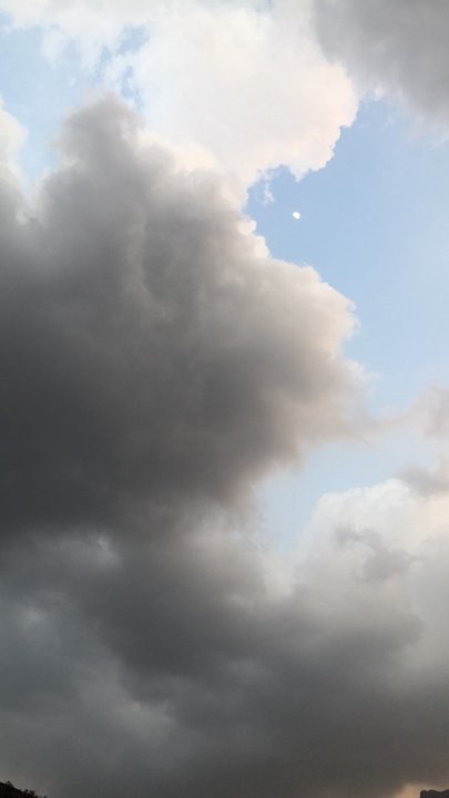 مشاركاتي في أنت الراصد