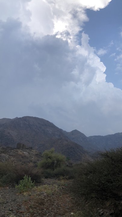 مشاركاتي في أنت الراصد