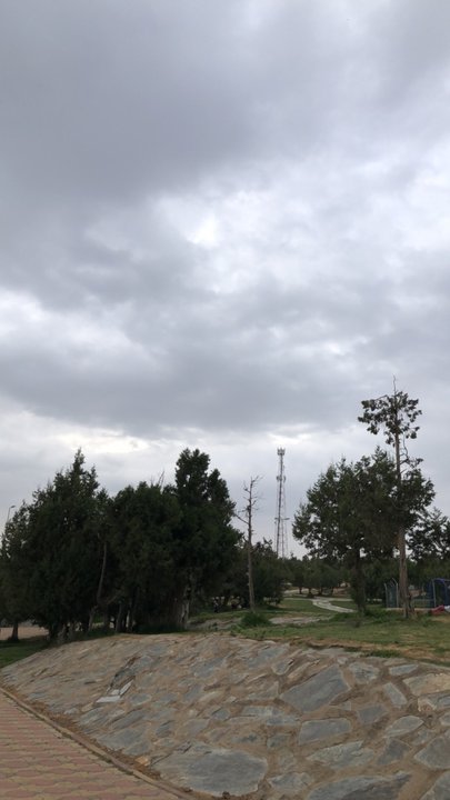 مشاركاتي في أنت الراصد