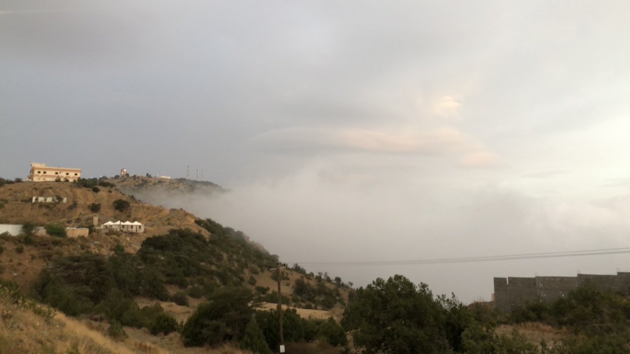 مشاركاتي في أنت الراصد