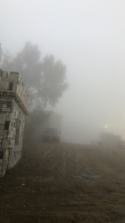 مشاركاتي في أنت الراصد