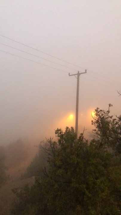 مشاركاتي في أنت الراصد