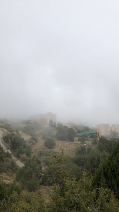 مشاركاتي في أنت الراصد