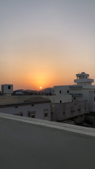 مشاركاتي في أنت الراصد