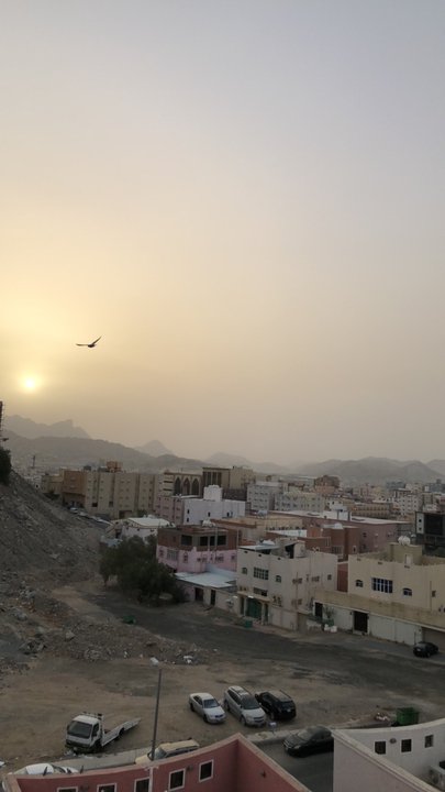 مشاركاتي في أنت الراصد