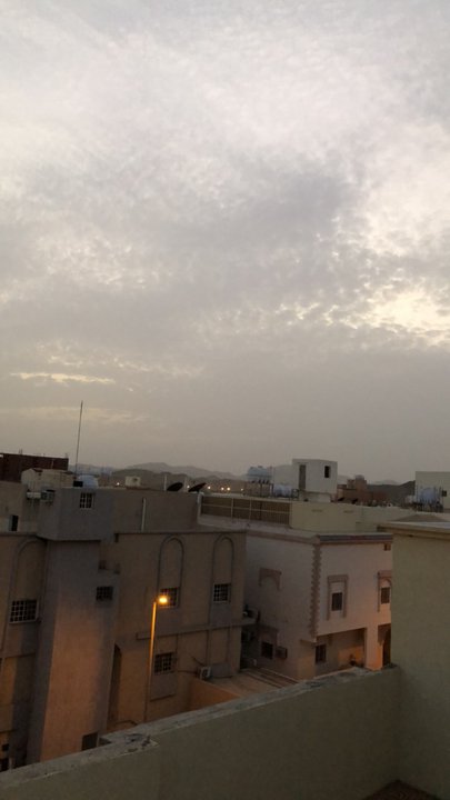 مشاركاتي في أنت الراصد