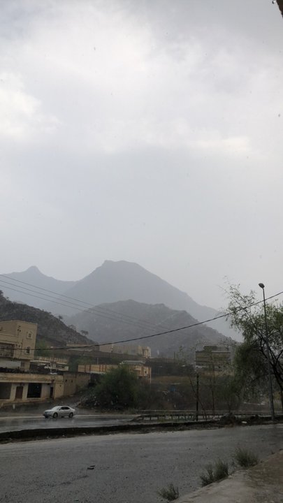 مشاركاتي في أنت الراصد