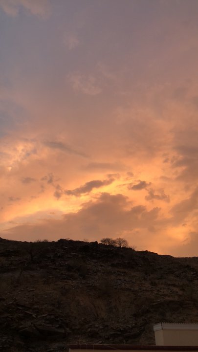 مشاركاتي في أنت الراصد