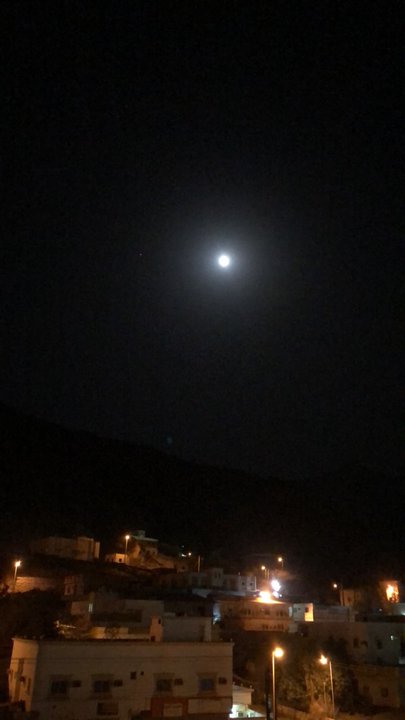 مشاركاتي في أنت الراصد