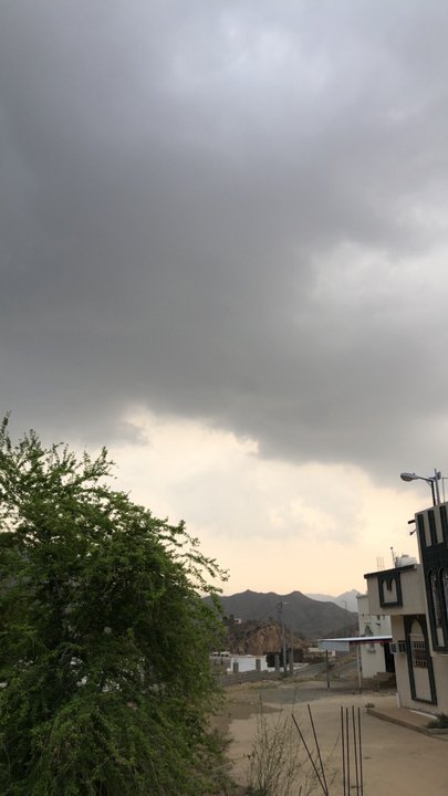 مشاركاتي في أنت الراصد