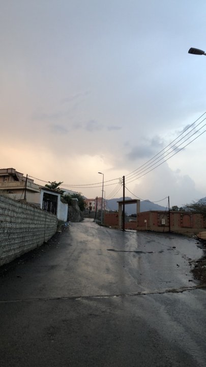 مشاركاتي في أنت الراصد