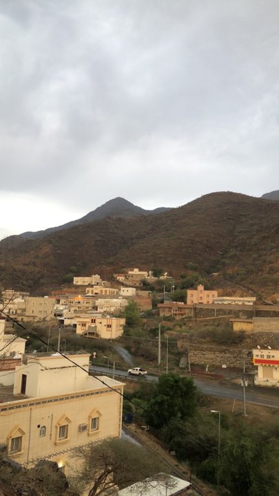 مشاركاتي في أنت الراصد