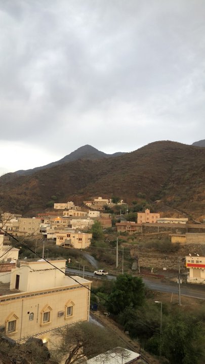 مشاركاتي في أنت الراصد