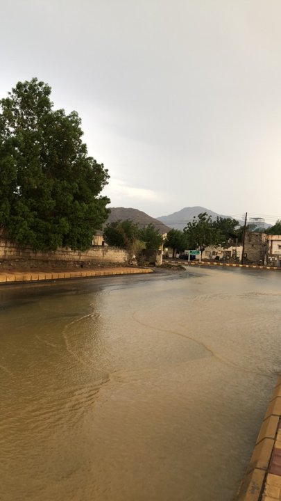 مشاركاتي في أنت الراصد