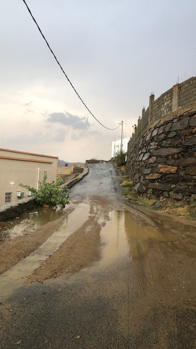 مشاركاتي في أنت الراصد