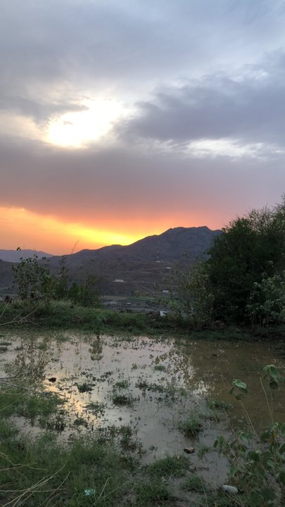 مشاركاتي في أنت الراصد