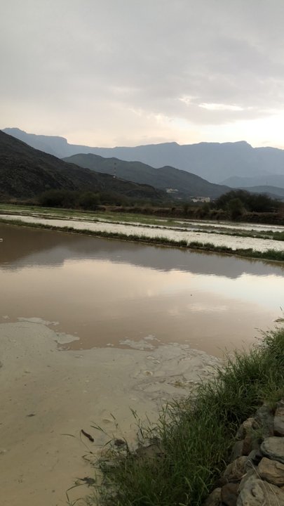 مشاركاتي في أنت الراصد