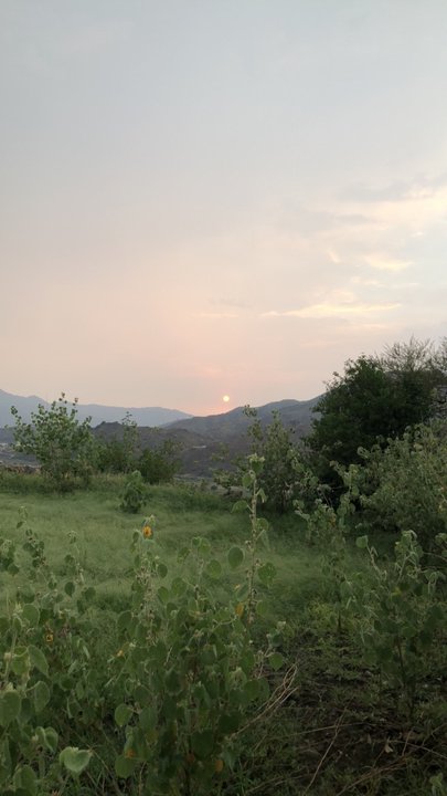 مشاركاتي في أنت الراصد