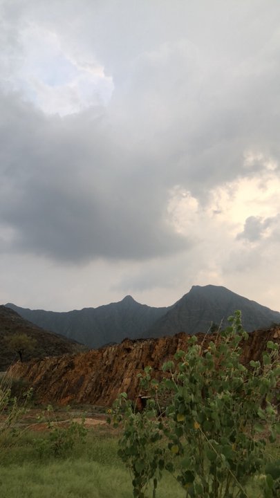 مشاركاتي في أنت الراصد