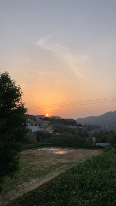 مشاركاتي في أنت الراصد