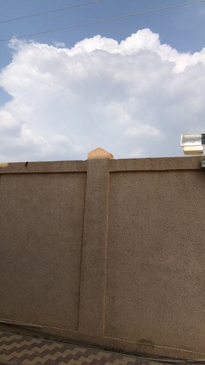 مشاركاتي في أنت الراصد