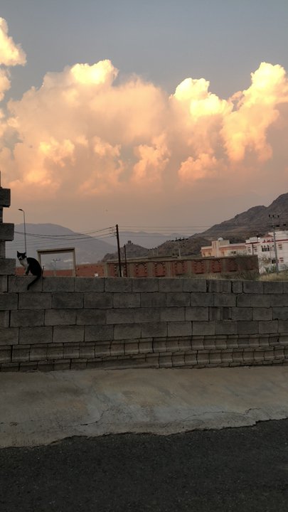 مشاركاتي في أنت الراصد