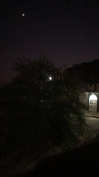 مشاركاتي في أنت الراصد