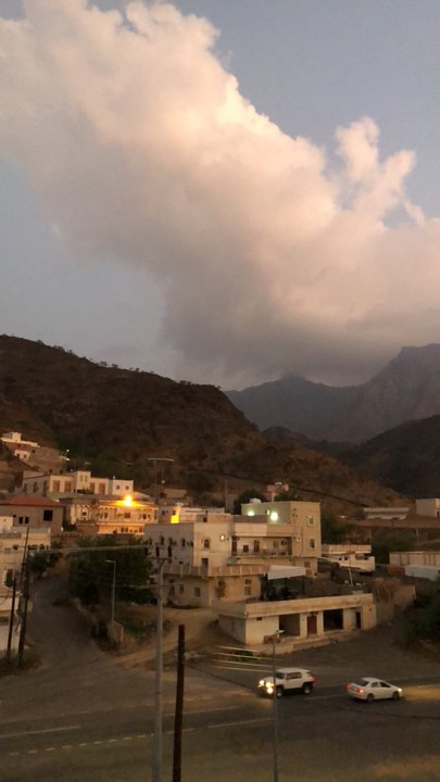 مشاركاتي في أنت الراصد