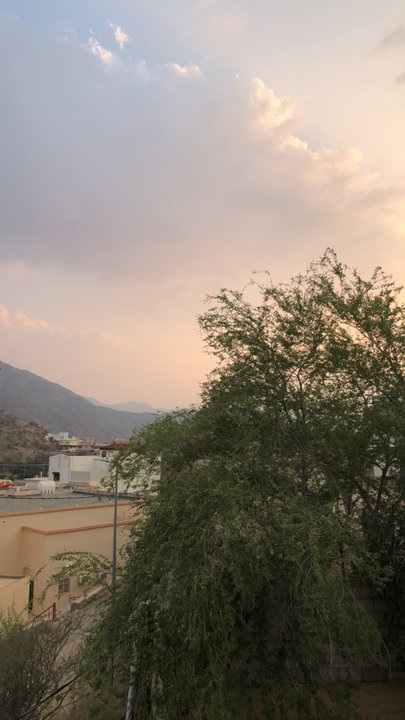 مشاركاتي في أنت الراصد