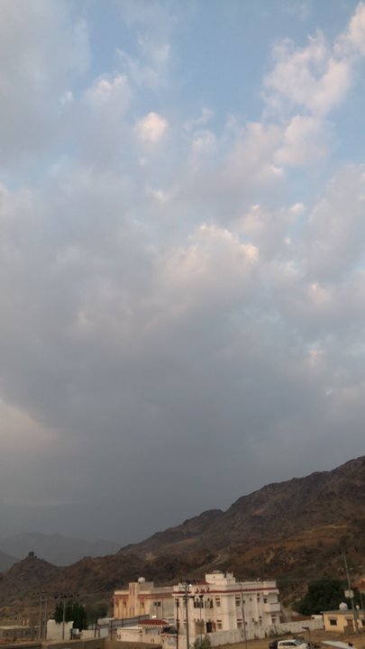 مشاركاتي في أنت الراصد