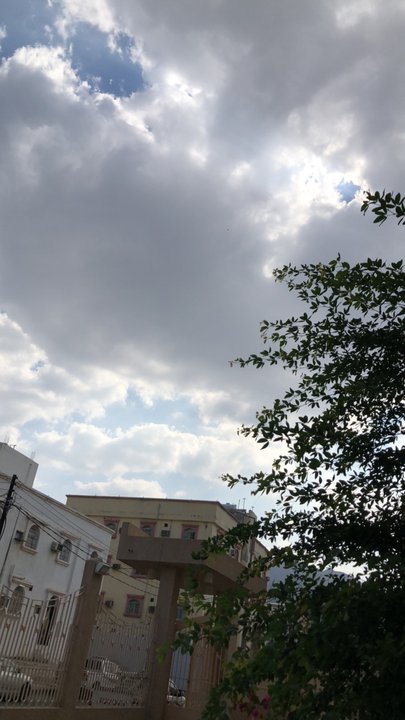 مشاركاتي في أنت الراصد