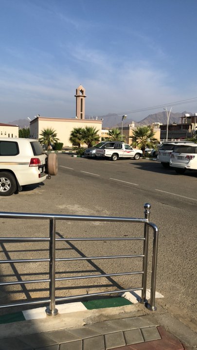 مشاركاتي في أنت الراصد