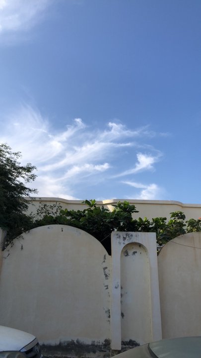 مشاركاتي في أنت الراصد