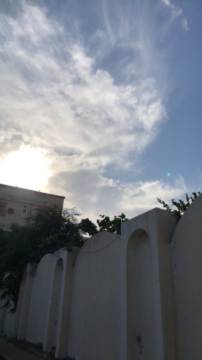 مشاركاتي في أنت الراصد