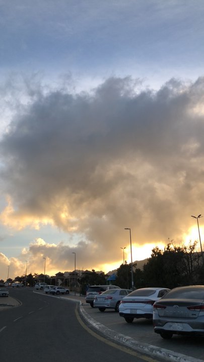 مشاركاتي في أنت الراصد