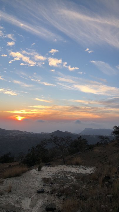 مشاركاتي في أنت الراصد