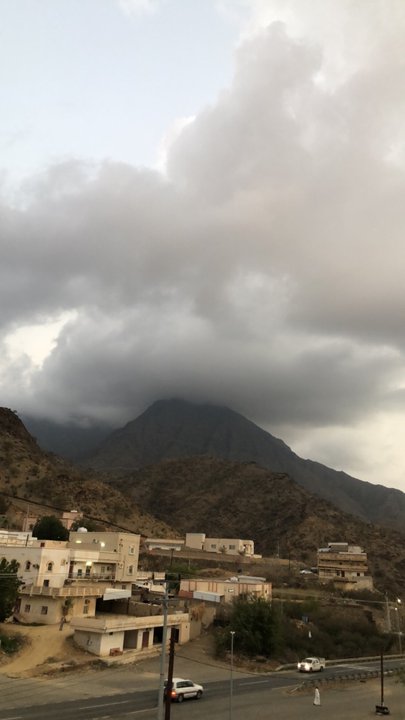 مشاركاتي في أنت الراصد