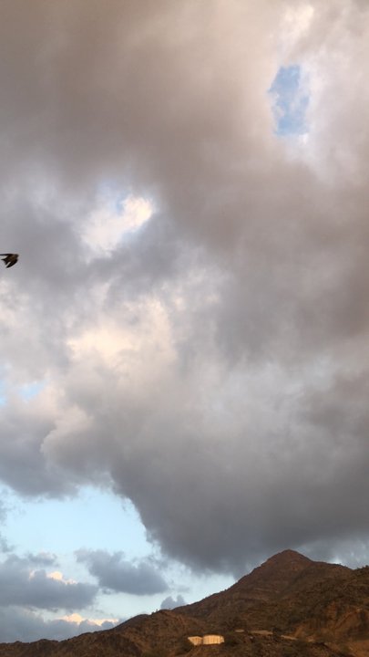 مشاركاتي في أنت الراصد