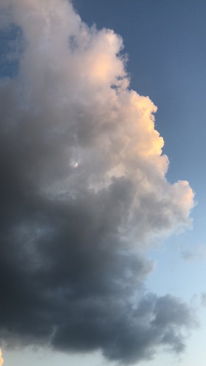 مشاركاتي في أنت الراصد