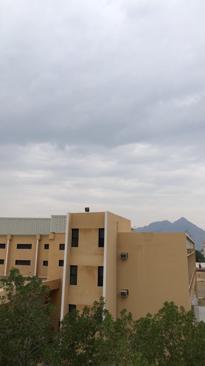 مشاركاتي في أنت الراصد