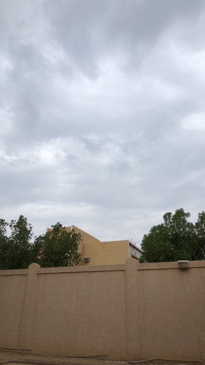 مشاركاتي في أنت الراصد