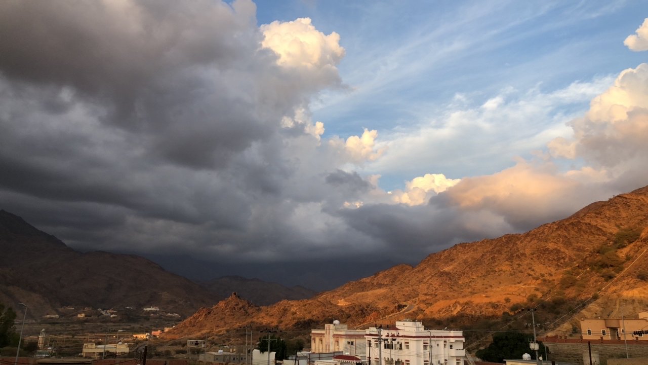 مشاركاتي في أنت الراصد