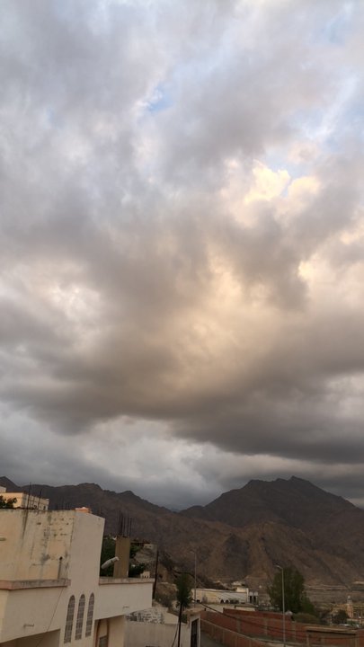 مشاركاتي في أنت الراصد