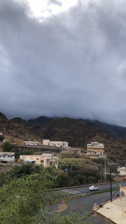 مشاركاتي في أنت الراصد